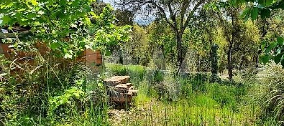 Casa de 3 dormitorios en Cabeceiras de Basto, Portugal No. 27330 33