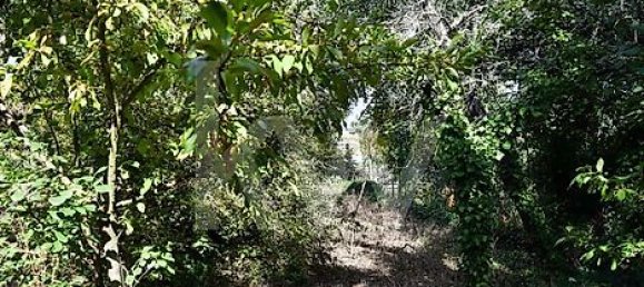 Casa de 3 dormitorios en Cabeceiras de Basto, Portugal No. 27330 12