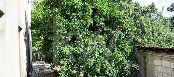 Casa de 3 dormitorios en Cabeceiras de Basto, Portugal No. 27330 8