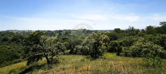 Grundstück in Santiago do Cacem, Portugal, Nr. 92690 2
