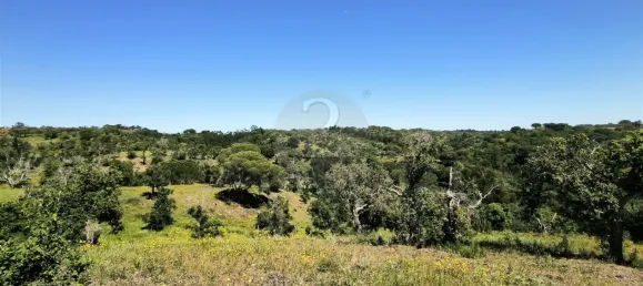 Grundstück in Santiago do Cacem, Portugal, Nr. 92690 3