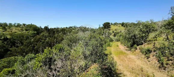 Grundstück in Santiago do Cacem, Portugal, Nr. 92690 7