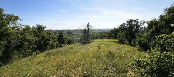 Grundstück in Santiago do Cacem, Portugal, Nr. 92690 14