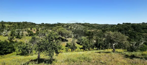Grundstück in Santiago do Cacem, Portugal, Nr. 92690 9