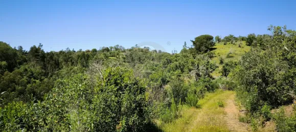 Grundstück in Santiago do Cacem, Portugal, Nr. 92690 8