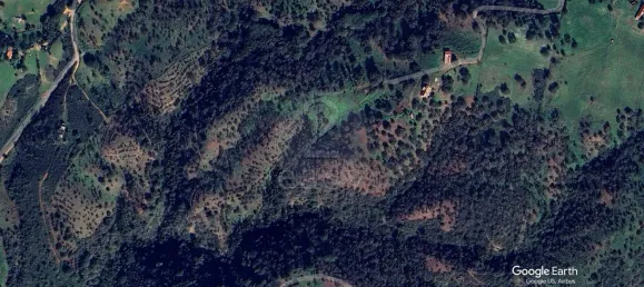 Grundstück in Santiago do Cacem, Portugal, Nr. 92690 11