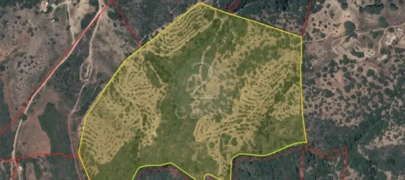 Grundstück in Santiago do Cacem, Portugal, Nr. 92690 13