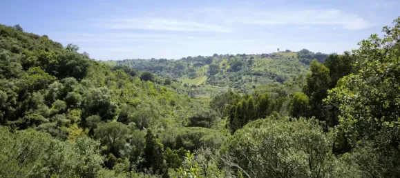 Grundstück in Santiago do Cacem, Portugal, Nr. 92690 4