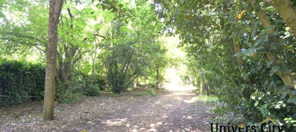 1 bedroom House in Maine-et-Loire, France No. 277944 7