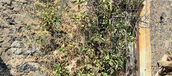 Casa de 3 dormitorios en Valverde, Italy No. 323890 37