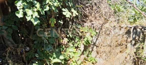 Casa de 3 dormitorios en Valverde, Italy No. 323890 9