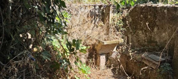 Casa de 3 dormitorios en Valverde, Italy No. 323890 3