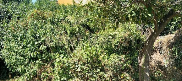 Casa de 3 dormitorios en Valverde, Italy No. 323890 15