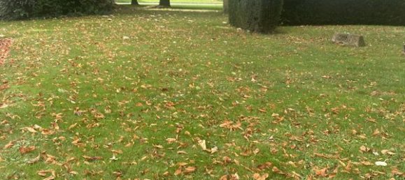 4 غرف نوم شقة في Roubaix, France رقم 241359 9