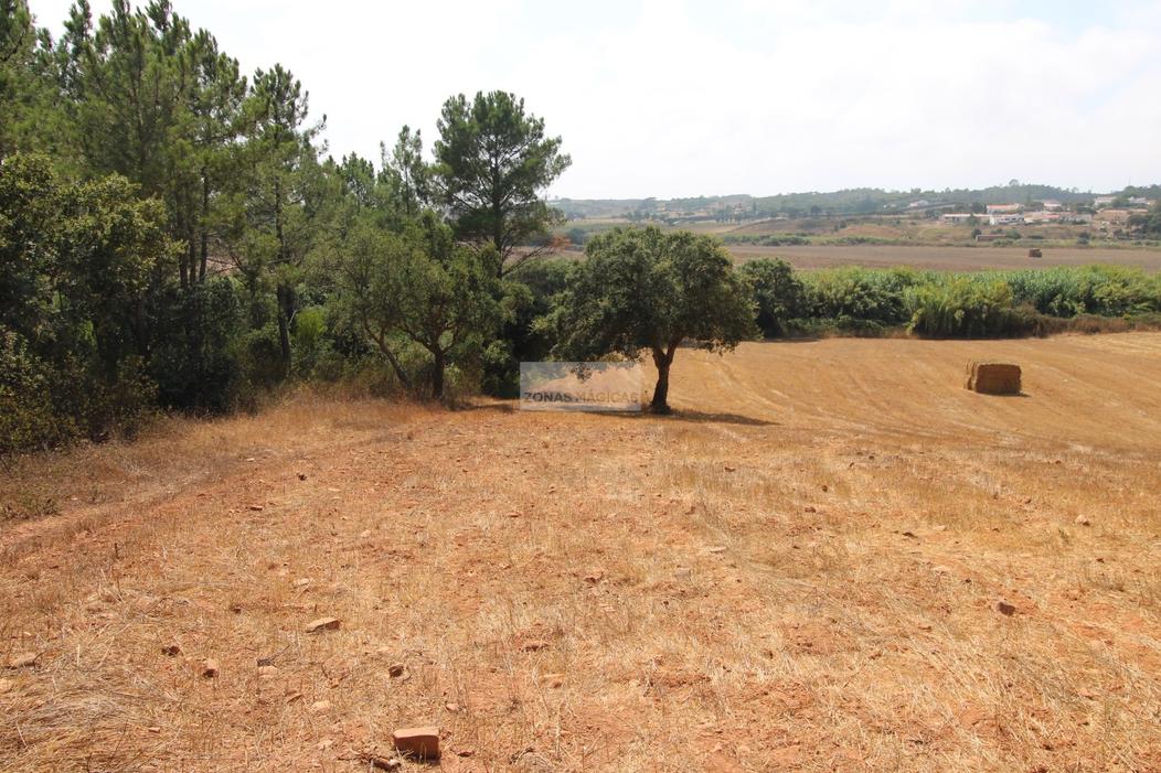  قطعة أرض في Aljezur, Portugal 5000متر مربع رقم 324855