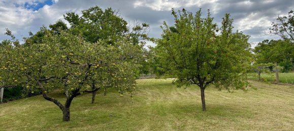 Casa de 4 habitaciónes en Hohenruppersdorf, Austria No. 199271 17