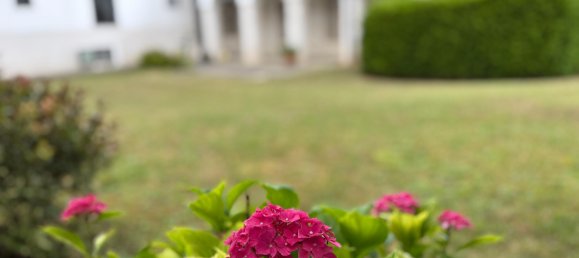 Casa de 4 habitaciónes en Hohenruppersdorf, Austria No. 199271 35