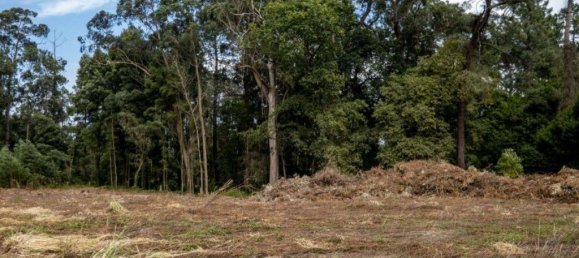 Terreno en Arcozelo, Portugal 7000 m² No. 123079 16