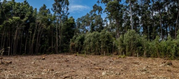 Terreno en Arcozelo, Portugal 7000 m² No. 123079 8