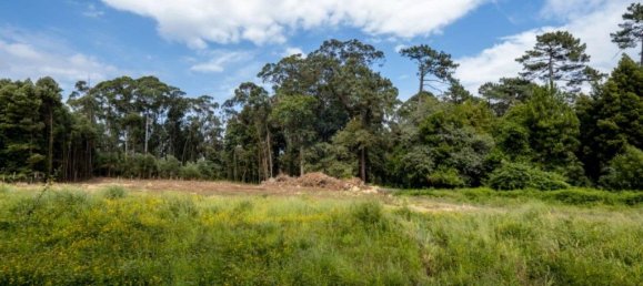 Terreno en Arcozelo, Portugal 7000 m² No. 123079 21