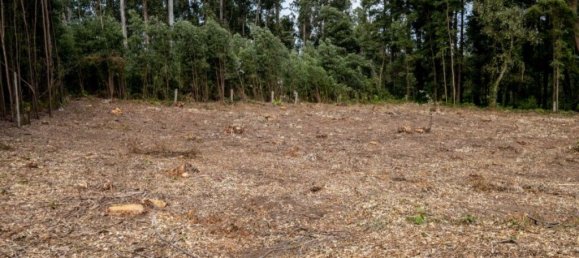 Terreno en Arcozelo, Portugal 7000 m² No. 123079 11