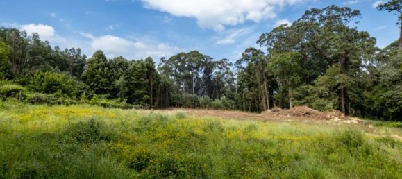 Terreno en Arcozelo, Portugal 7000 m² No. 123079 20