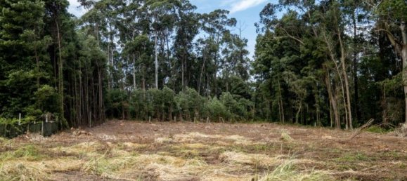 Terreno en Arcozelo, Portugal 7000 m² No. 123079 15