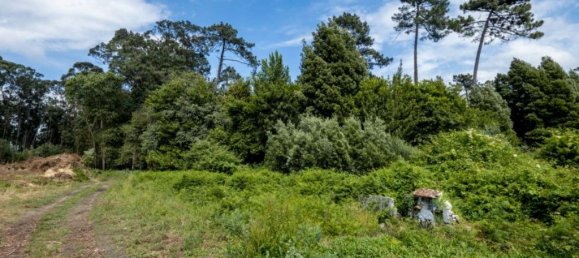 Terreno en Arcozelo, Portugal 7000 m² No. 123079 6