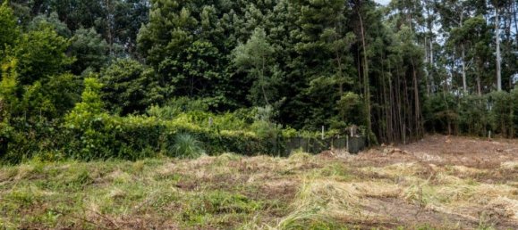 Terreno en Arcozelo, Portugal 7000 m² No. 123079 22