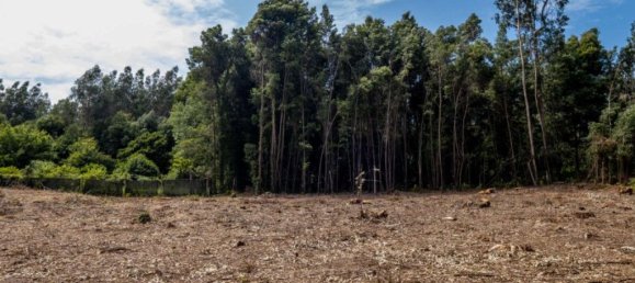 Terreno en Arcozelo, Portugal 7000 m² No. 123079 7