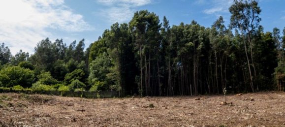 Terreno en Arcozelo, Portugal 7000 m² No. 123079 2