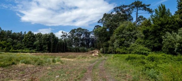 Terreno en Arcozelo, Portugal 7000 m² No. 123079 4