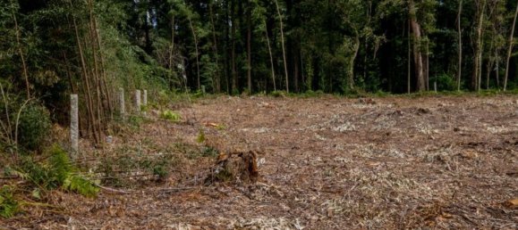 Terreno en Arcozelo, Portugal 7000 m² No. 123079 12