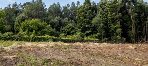 Terreno en Arcozelo, Portugal 7000 m² No. 123079 17