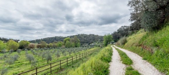 25 Schlafzimmer Schlösser in Vila Vicosa, Portugal, Nr. 144078 23
