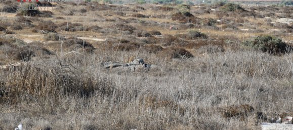 7200 m² terreno en venta en Paralimni, Ammochostos, Cyprus № 26584 4