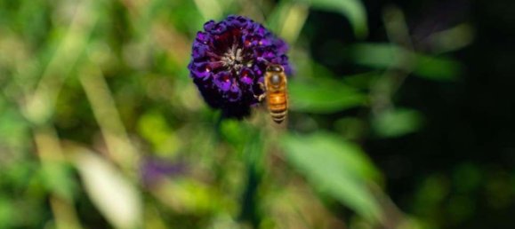 Таунхаус с 3 спальнями в Крефельд, Германия № 367328 22