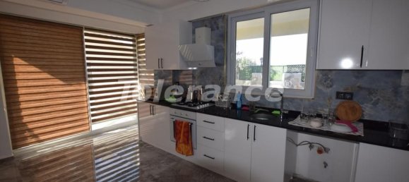 Villa 9+1 in Belek, Turkey No. 12202 10