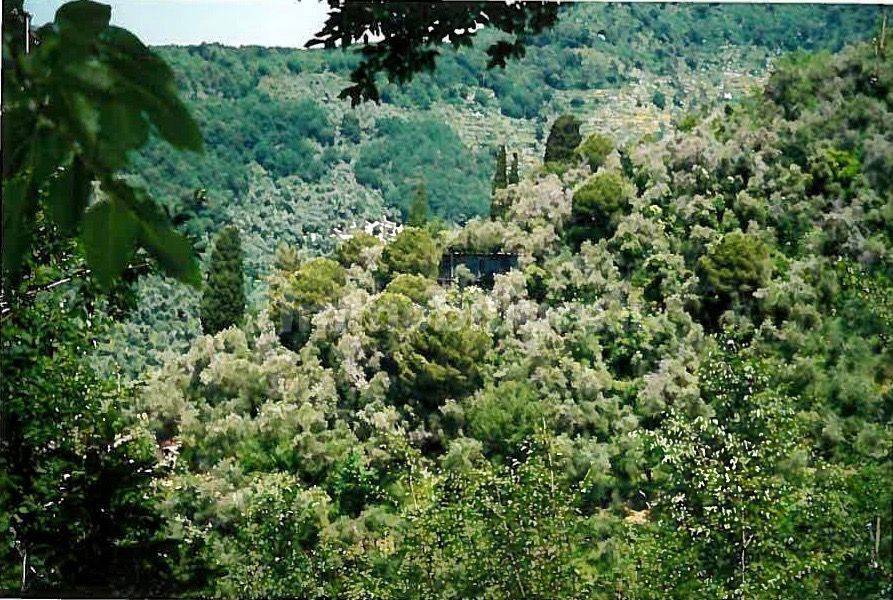 Terreno en Rapallo, Italy 1940 m² No. 373230