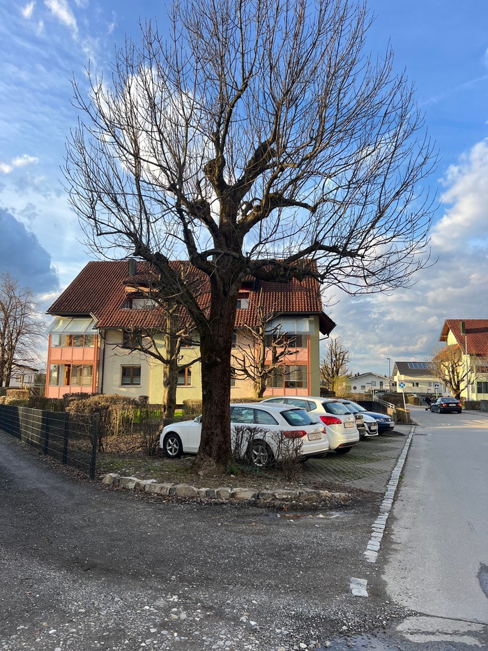 4 rooms Apartment in Dornbirn, Austria No. 44209