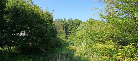 Terrain à Pressbaum, Austria No. 41156 9