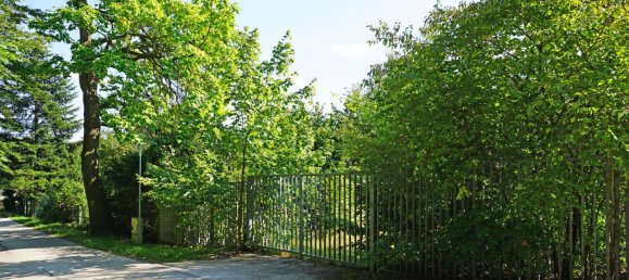 Terrain à Pressbaum, Austria No. 41156 5