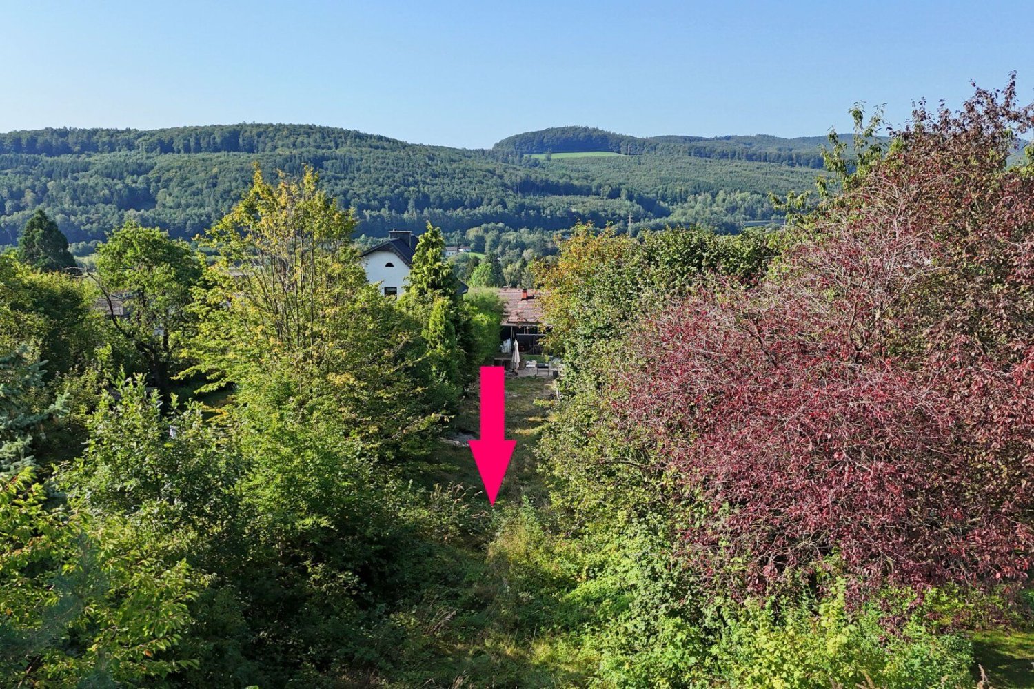 Terrain à Pressbaum, Austria No. 41156