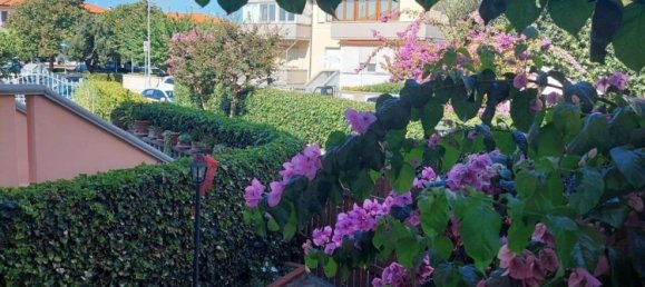 6 rooms Apartment in Bibbona, Italy No. 72407 50