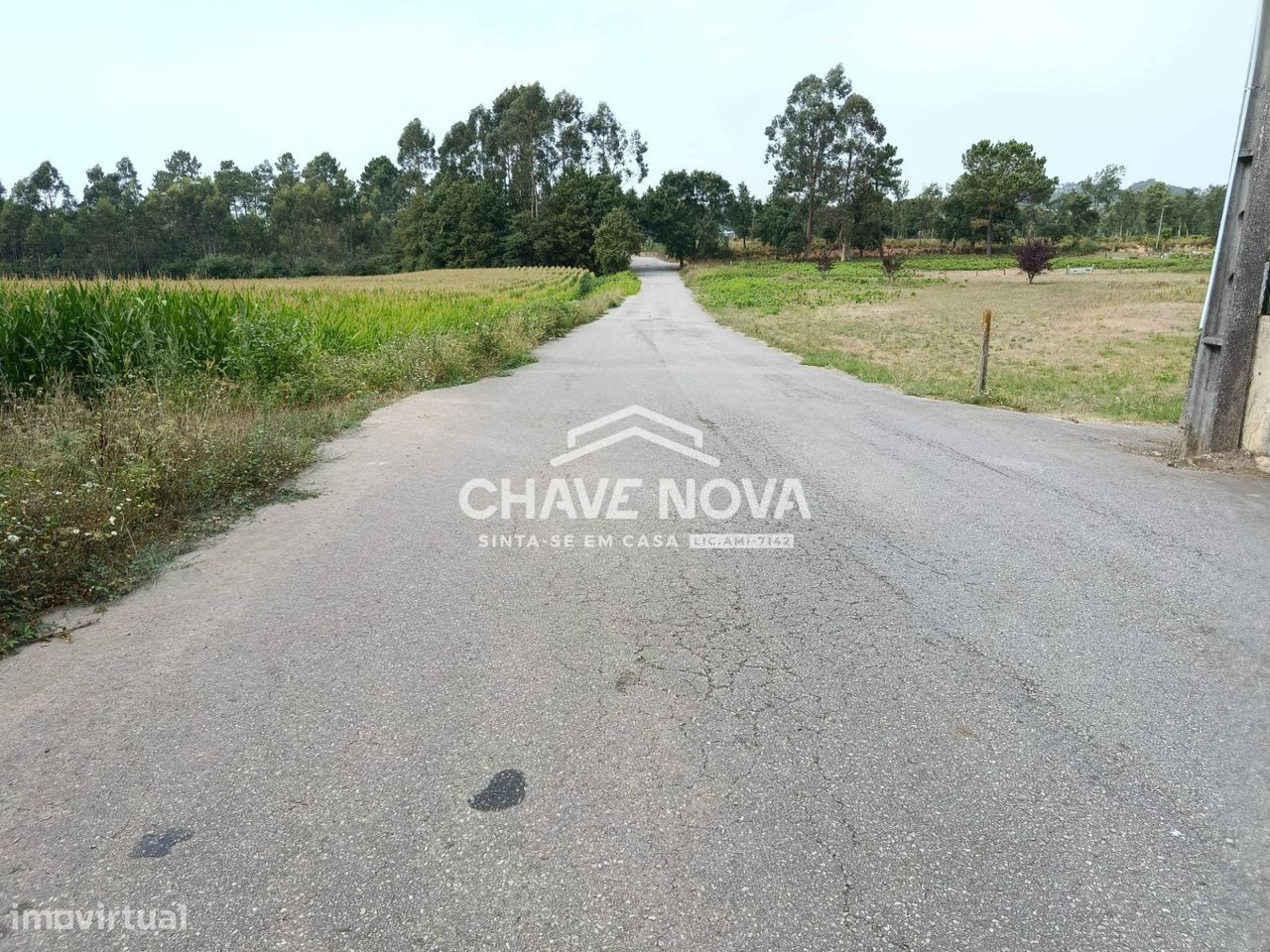 Земельный участок 6160м² в Санта Мария да Фейра, Португалия № 267935