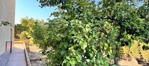 5 Schlafzimmer Haus in Linares, Spain, Nr. 181986 7