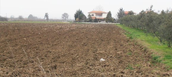 4862m² Hotel in Katerini, Greece No. 7998 2