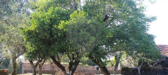 Casa de 2 dormitorios en Ansiao, Portugal No. 24399 16