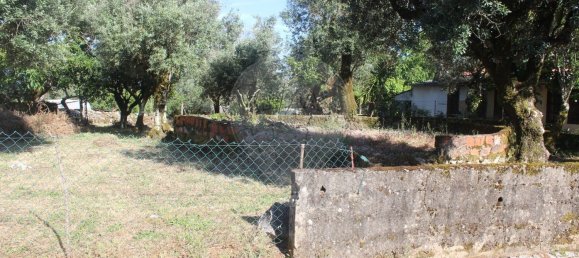 Casa de 2 dormitorios en Ansiao, Portugal No. 24399 12