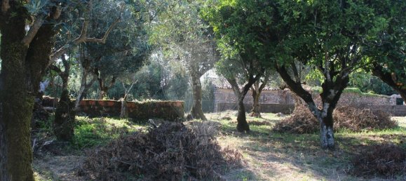 Casa de 2 dormitorios en Ansiao, Portugal No. 24399 15
